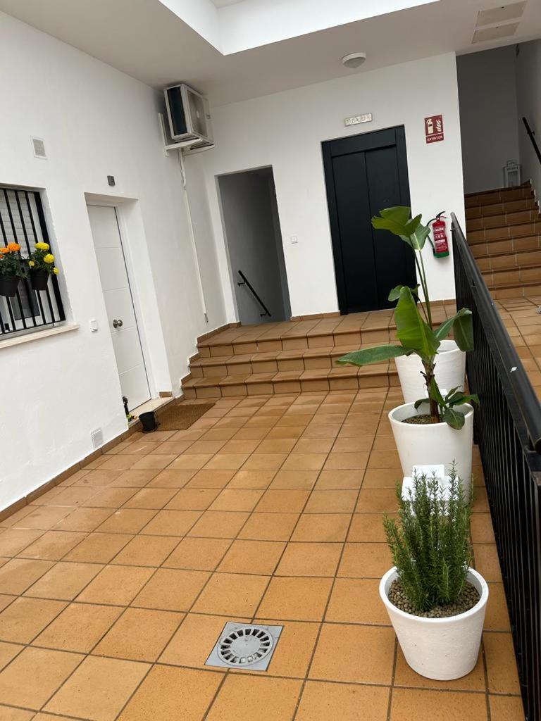 Sherry Suites V Apartamentos Parking Gratuito Херес-де-ла-Фронтера Екстер'єр фото